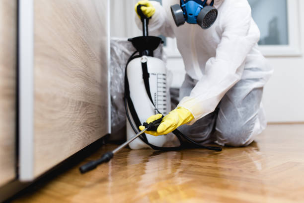 Best Flea Control Services  in Elmira Heights, NY