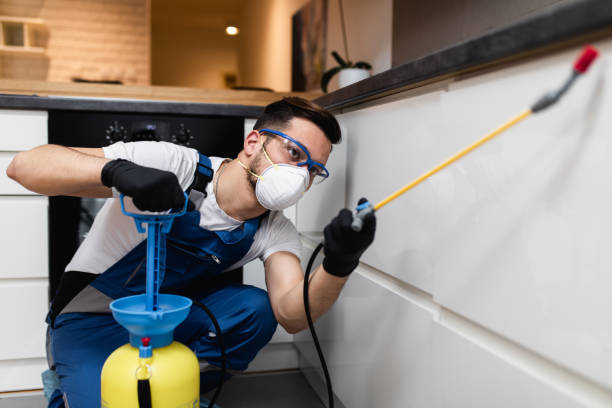 Best Pest Removal Services  in Elmira Heights, NY