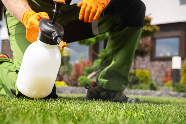Best Cockroach Control Services  in Elmira Heights, NY