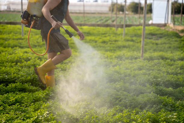 Best Pest Prevention Services  in Elmira Heights, NY