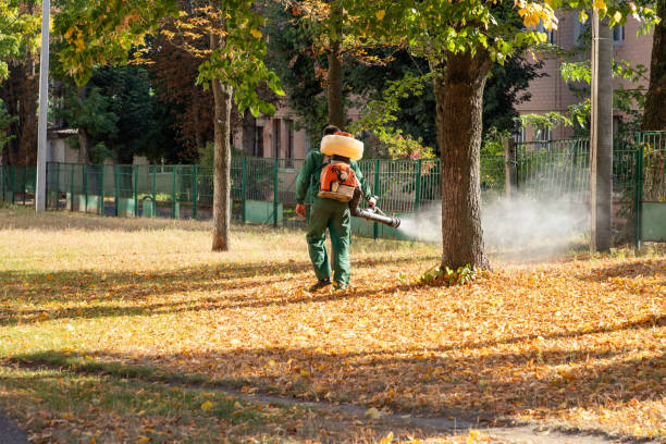 Best Local Pest Control Services  in Elmira Heights, NY